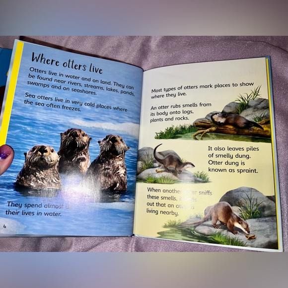 Pandas🐼, Dogs🐶 & Otters🦦 Beginners Books - Picture 5 of 5